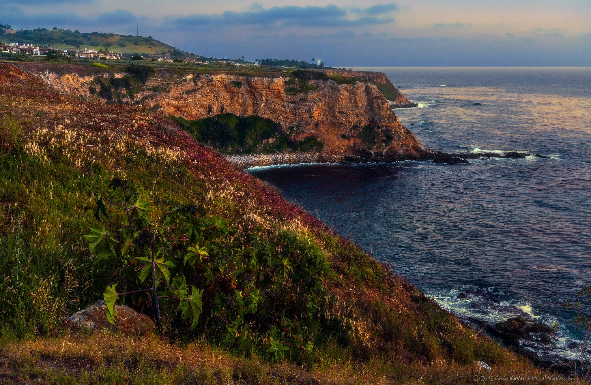 Photo 1 from Palos Verdes Peninsula Land Conservancy